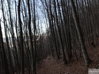2025-12-10 Murolungo 057